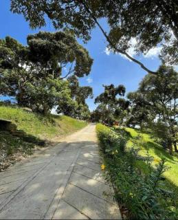 New DurianFarmBrick Villa18pax FeldaTiTi - - 8