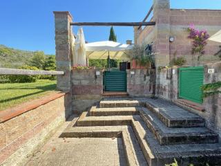 Sant'Anna del Volterraio - Margherite 5 - Bagnaia - 6