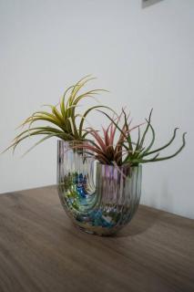 Guest House Marittima - 3