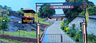 SPATHODEA - Vagamon - 0