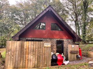 Primrose 19-Woodland Lodges-Carmarthen-Pembroke - St Clears - 1