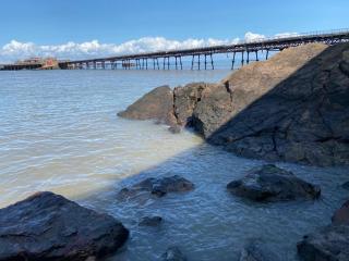 The Retreat - Weston-super-Mare - 7