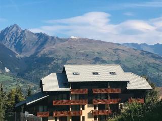 Duplex fonctionnel sur les pistes · Balcon sud-ouest · Proche commerces · 5 pers - FR-1-181-2501 - Aime La Plagne - 9