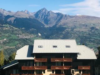 Duplex fonctionnel sur les pistes · Balcon sud-ouest · Proche commerces · 5 pers - FR-1-181-2501 - Aime La Plagne - 7