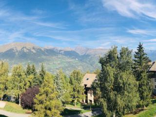 Duplex fonctionnel sur les pistes · Balcon sud-ouest · Proche commerces · 5 pers - FR-1-181-2501 - Aime La Plagne - 6
