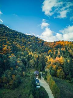 Căsuța dintre brazi - Rîşnov - 4