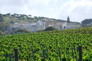 Firriato Hospitality - Baglio Sorìa - Trapani - 6
