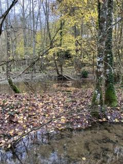 Glamping Calvados - - 6