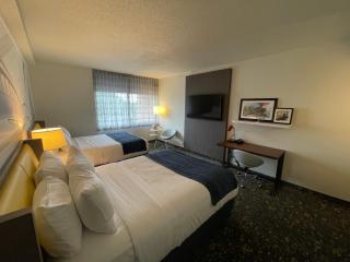 Saint Louis Airport Hotel - St. Louis - 5
