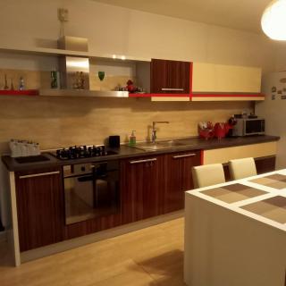 Casa verde 1 - Pantelimon - 2