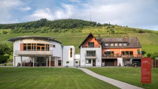 Weingut Peifer - Traben-Trarbach - 6