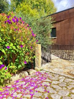 Moinhos Carvalhas - 3