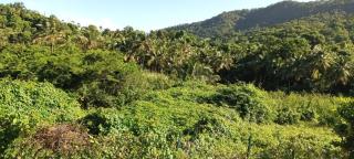 Weston - Deshaies - 4