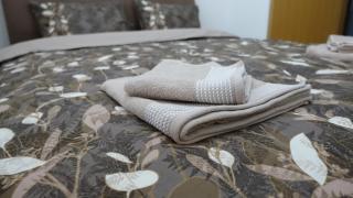 JC10 Apartment 3 bedroom, free parking, 73sqm - Novi Sad - 8
