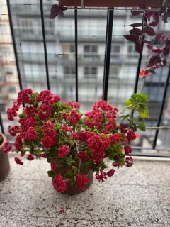 HERMOSO DEPTO. EN PLENO PALERMO SOHO - Buenos Aires - 3