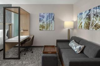 SpringHill Suites by Marriott Kalamazoo Portage - Portage - 1