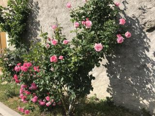Gîte rénové avec jardin, proche loisirs et commerces, à une heure de Nancy et Metz - FR-1-584-168 - 4
