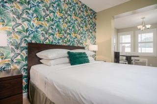 The Local - St. Augustine - 1