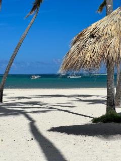 Fully renovated Beachfront 1BR Condo in the gated Stanza Mare community with a private beach, pool, onsite restaurant and modern amenities such as refrigerator, dishwasher, filtered water, microwave, BBQ, washer dryer, bamboo linens, free Wi-Fi - Punta Cana - 6