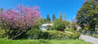 49 Scarborough Terrace - Hanmer Springs - 0