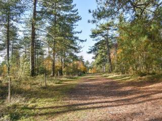 Chestnut House - Wareham - 1