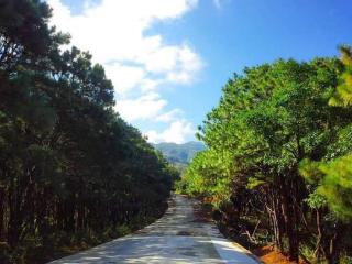 Nueva era eco park resort danglas abra - Bangued - 6