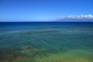 Maui Kai 308 - Kahana - 3