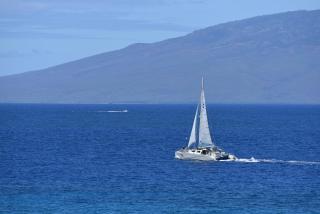Maui Kai 308 - Kahana - 1