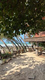 Pousada Paraíso das Tartarugas - Pipa - 4