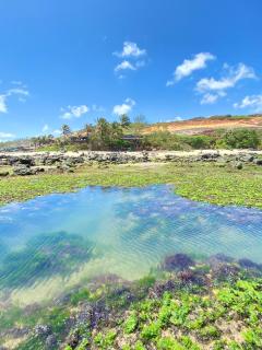 Pousada Paraíso das Tartarugas - Pipa - 8