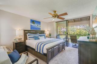 Wailea Ekahi 43D - Wailea - 7
