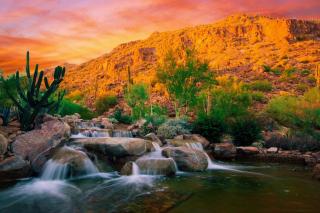 The Canyon Suites at The Phoenician, a Luxury Collection Resort, Scottsdale - Scottsdale - 2