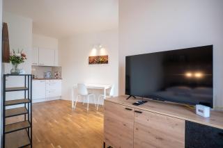 Meadows Apartments Klínovec - Loučná pod Klínovcem - 8