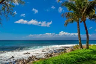 Napili Point A8 - Kahana - 1