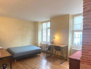 FLOYDHOM'S Pau Appartement entier 4 jours minimum 100m2 proche château - Pau - 9