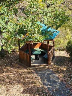 Forest Spring - 1