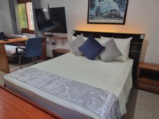 The Drake Seaside Apartment - Studio - Bel Ombre - 3