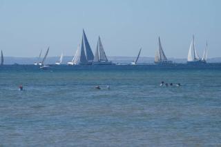 Blairgowrie Sea La Vie - 8