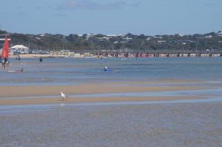 Blairgowrie Sea La Vie - 3