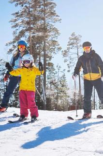 Terrassen 57 in Kungsberget - Your home away from home - Järbo - 1