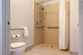 Comfort Suites Baton Rouge South I-10 - 2