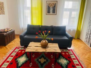 Spacious Stylish Apartment in Old Town - Sibiu - 4