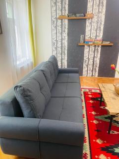Spacious Stylish Apartment in Old Town - Sibiu - 5