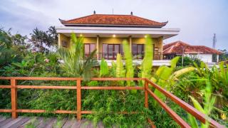 Jegeg Mas - Ubud - 5