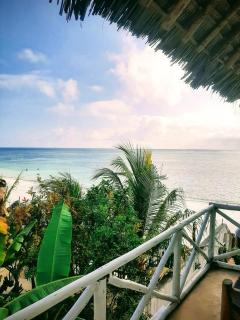Equalia boutique hotel - Jambiani - 9