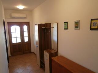 Apartment Maslina - Bibinje - 1