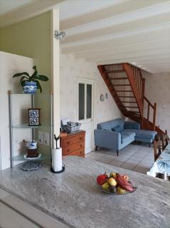 Le logis de LANGE apt Les Aigrettes - 9