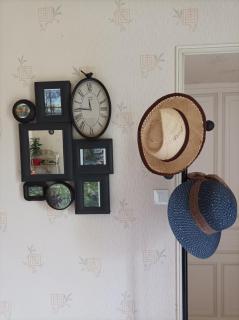 Le logis de LANGE apt Les Aigrettes - Saint-Hilaire-la-Palud - 6