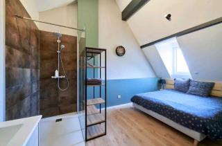LOFT neuf avec bain jacuzzi et terrasse - Colmar - 6