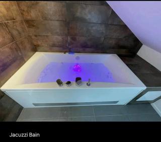 LOFT neuf avec bain jacuzzi et terrasse - Colmar - 2